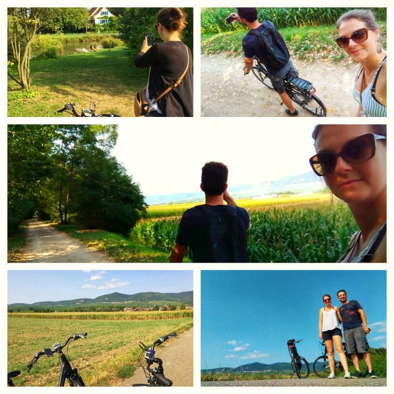 Aluguel de bicicleta em Colmar: em meio à vinícolas e paisagens bucólicas