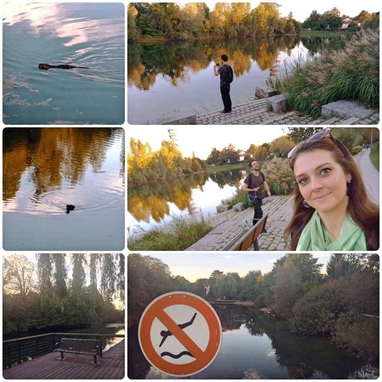 O que fazer em Kehl - caminhando pela beira do lago, castor e o patinho