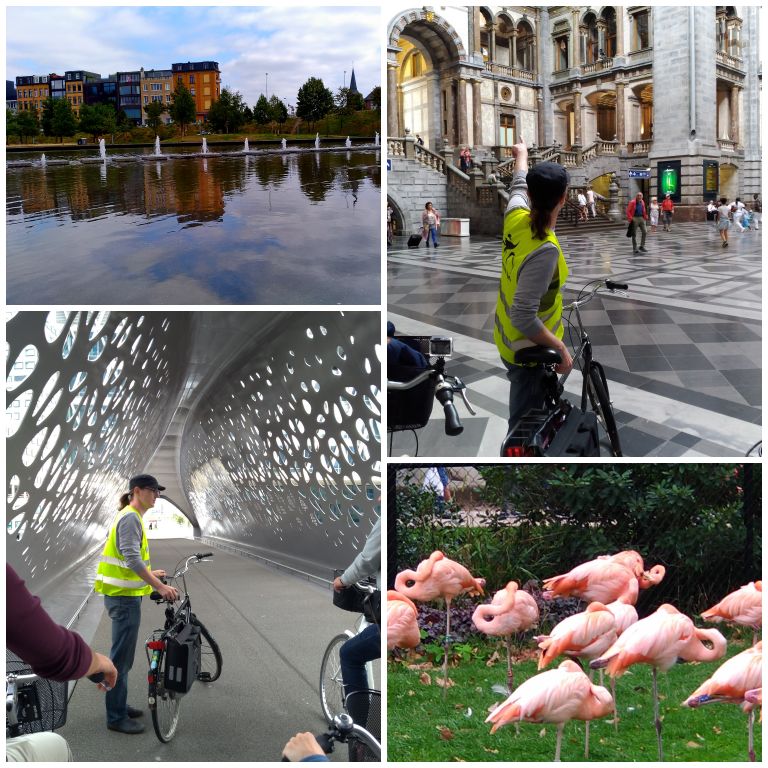  Highlights of Antwerp: city tour pela Antuérpia com a Antwerp by Bike