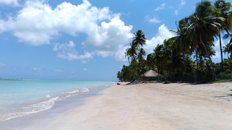 Maragogi, o "Caribe Brasileiro": areias claras, coqueiros e mar azul, calmo e de águas mornas