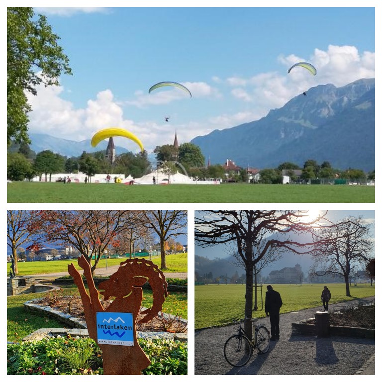 Höhematte: parque onde aterrissam os voos de parapente / paraglider