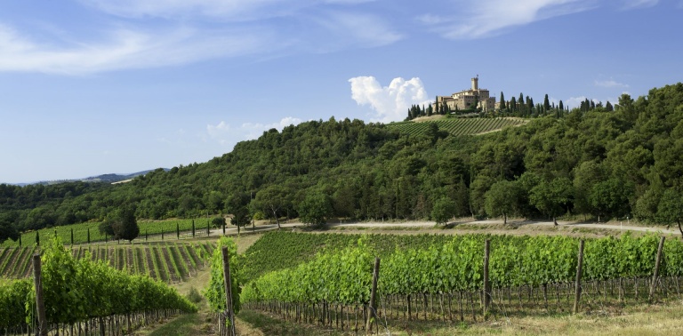 O que fazer na Toscana: degustação de vinhos no Castello Banfi