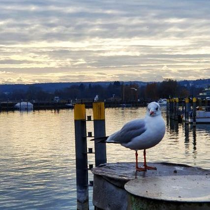 Konstanz Hafen | Porto de Konstanz no Lago Constança (Bodensee)
