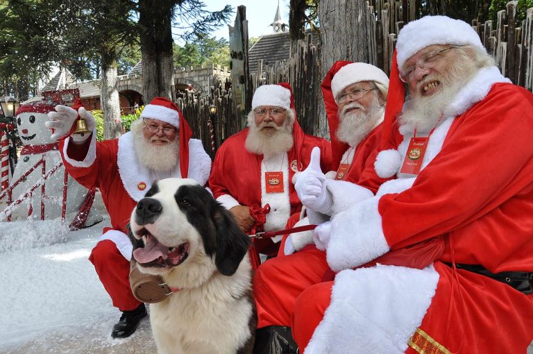 Aldeia do Papai Noel | Parque Knorr