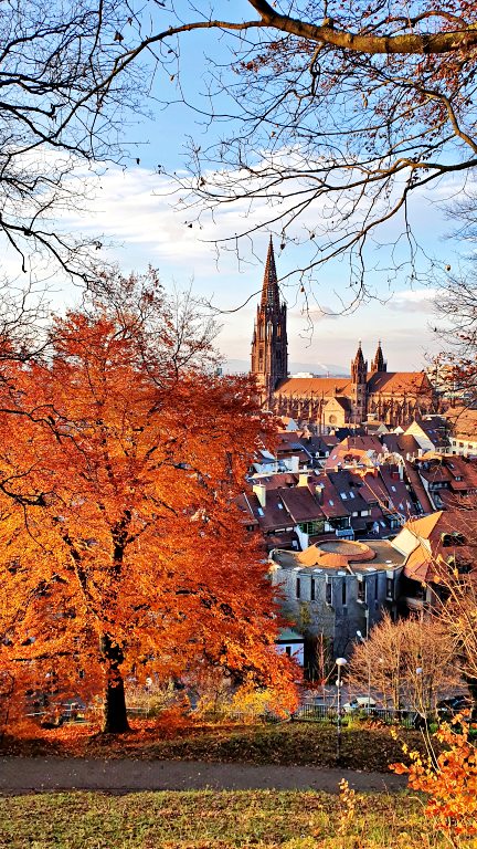 O que fazer em Freiburg, na Alemanha: roteiro de 1 dia no coração da Floresta Negra 53 Vista da Catedral de Freiburg no Schlossberg | O que fazer em Freiburg