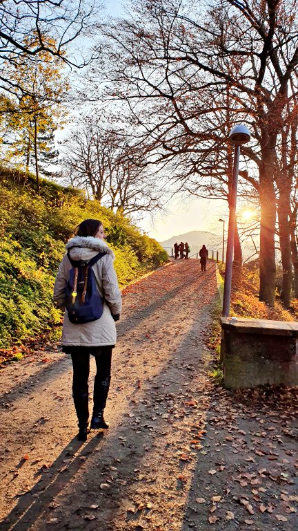 O que fazer em Freiburg, na Alemanha: roteiro de 1 dia no coração da Floresta Negra 49 Caminhada de subida no Schlossberg | O que fazer em Freiburg