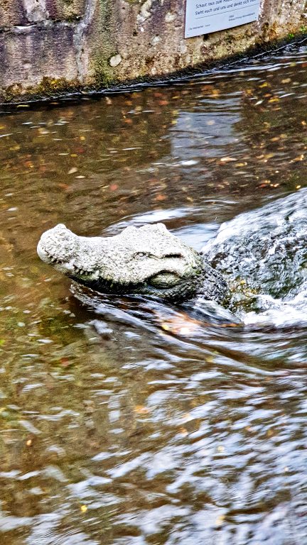 O que fazer em Freiburg, na Alemanha: roteiro de 1 dia no coração da Floresta Negra 41 Klein Venedig (Gerberau e Fischerau) | O que fazer em Freiburg