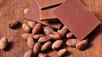 Chocolate Artesana no Brasil: 10 melhores marcas bean to bar