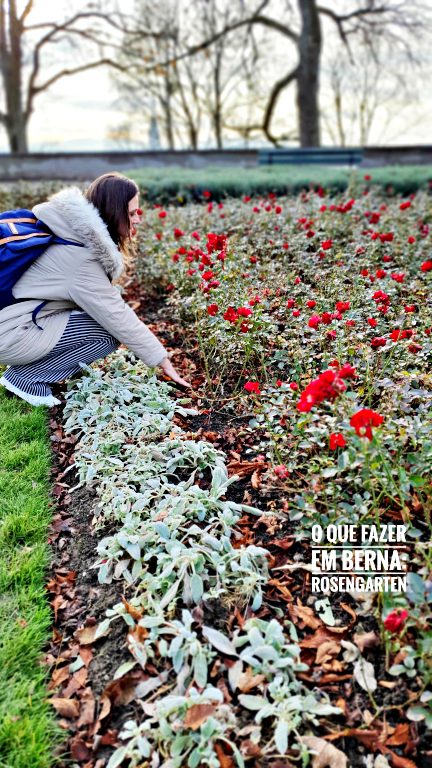 Rosengarten: Jardim das Rosas | O que fazer em Berna