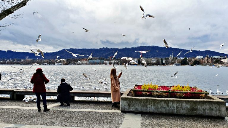 O que fazer em Zurique: roteiro de 2 dias na maior cidade da Suíça 56 Zürichsee: Lago de Zurique | O que fazer em Zurique