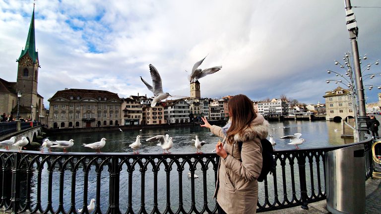 As gaivotas e o panorama na Münsterbrücke | O que fazer em Zurique