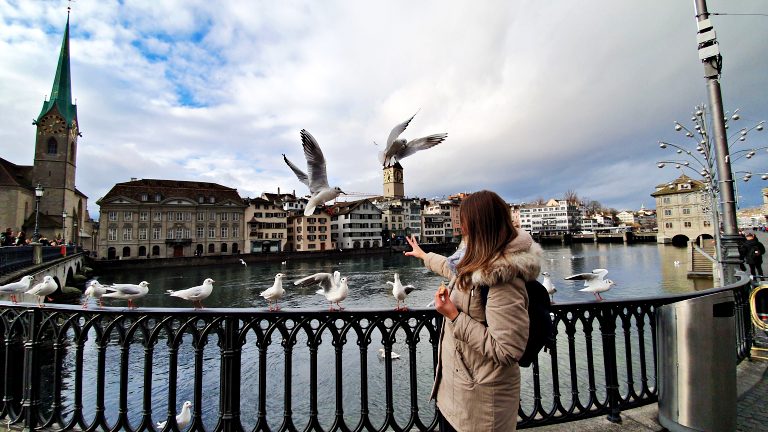 O que fazer em Zurique: roteiro de 2 dias na maior cidade da Suíça 25 As gaivotas e o panorama na Münsterbrücke | O que fazer em Zurique
