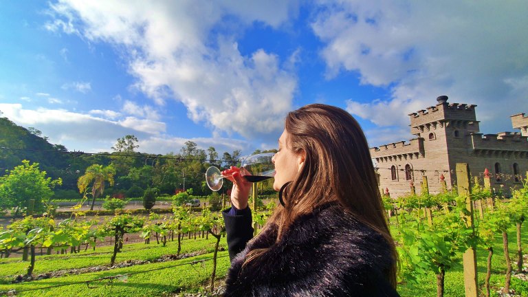 11 vinícolas para visitar na Serra Gaúcha: Vale dos Vinhedos e região da uva e do vinho - Vale dos Vinhedos Thumb 20211004 164818