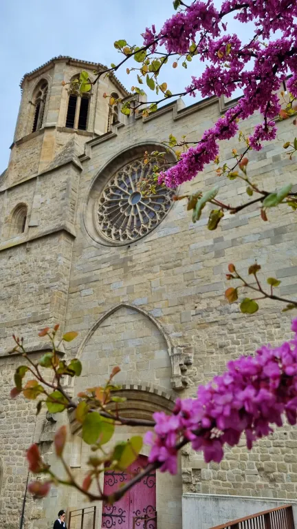Cathédrale Saint-Michel de Carcassonne | O que fazer em Carcassonne