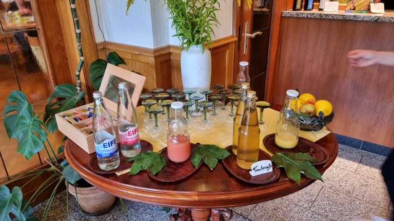 Onde ficar em Boppard, na Alemanha: Hotel Baudobriga Rheinhotel com vista para o rio Reno 41 Onde ficar em Boppard, na Alemanha: Hotel Baudobriga Rheinhotel com vista para o rio Reno - baudobriga boppard 20220816 083522