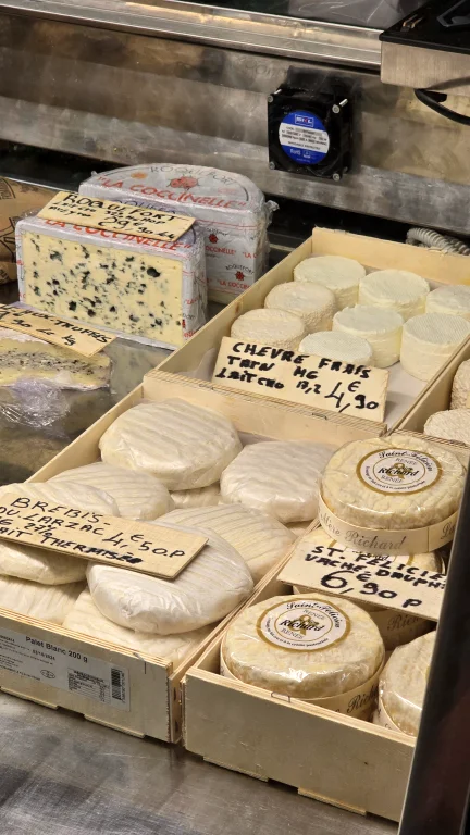 O que fazer na Côte D'Azur: roteiro de 4 dias por 6 cidades da Riviera Francesa 180 O que fazer na Côte D'Azur: roteiro de 4 dias por 6 cidades da Riviera Francesa - Antibes 20241004 115919