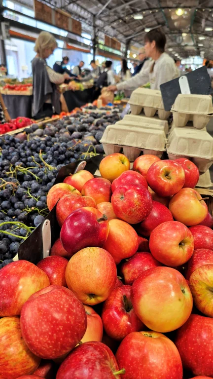 O que fazer na Côte D'Azur: roteiro de 4 dias por 6 cidades da Riviera Francesa 183 O que fazer na Côte D'Azur: roteiro de 4 dias por 6 cidades da Riviera Francesa - Antibes 20241004 120018 01