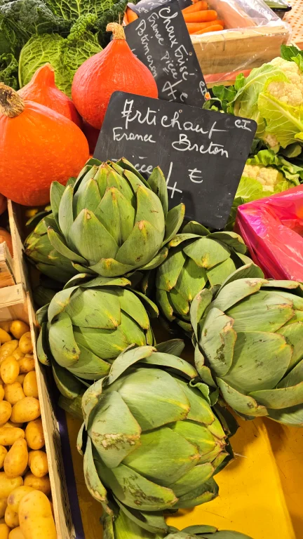 O que fazer na Côte D'Azur: roteiro de 4 dias por 6 cidades da Riviera Francesa 182 O que fazer na Côte D'Azur: roteiro de 4 dias por 6 cidades da Riviera Francesa - Antibes 20241004 120539