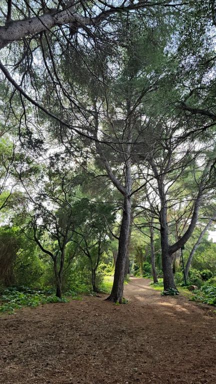 O que fazer na Côte D'Azur: roteiro de 4 dias por 6 cidades da Riviera Francesa 286 O que fazer na Côte D'Azur: roteiro de 4 dias por 6 cidades da Riviera Francesa - Cannes 20241015 154739