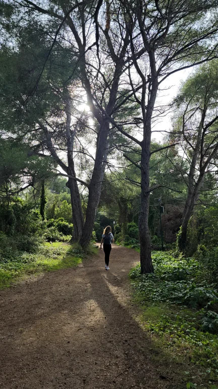 O que fazer na Côte D'Azur: roteiro de 4 dias por 6 cidades da Riviera Francesa 288 O que fazer na Côte D'Azur: roteiro de 4 dias por 6 cidades da Riviera Francesa - Cannes 20241015 154827