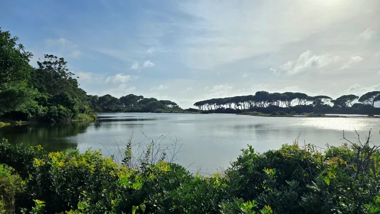 O que fazer na Côte D'Azur: roteiro de 4 dias por 6 cidades da Riviera Francesa 289 O que fazer na Côte D'Azur: roteiro de 4 dias por 6 cidades da Riviera Francesa - Cannes 20241015 160439