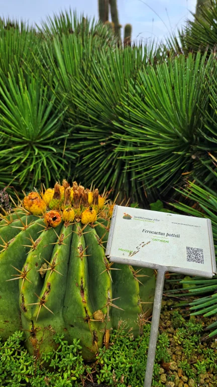 O que fazer na Côte D'Azur: roteiro de 4 dias por 6 cidades da Riviera Francesa 152 O que fazer na Côte D'Azur: roteiro de 4 dias por 6 cidades da Riviera Francesa - Eze 20241003 134402 01