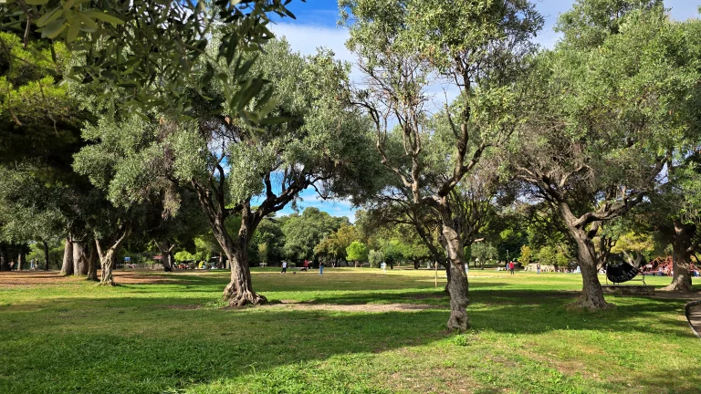 O que fazer na Côte D'Azur: roteiro de 4 dias por 6 cidades da Riviera Francesa 75 O que fazer na Côte D'Azur: roteiro de 4 dias por 6 cidades da Riviera Francesa - Nice 20241002 162427
