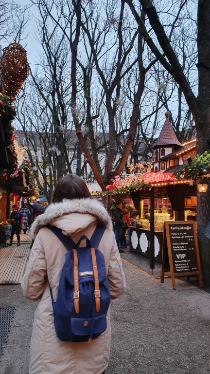 Natal sobre trilhos: uma viagem de trem pelos mercados de Natal de 4 países da Europa 52 Natal sobre trilhos: uma viagem de trem pelos mercados de Natal de 4 países da Europa - basel 20191128 160725